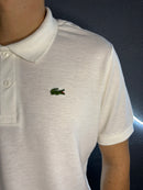 Camisa Polo 🐊